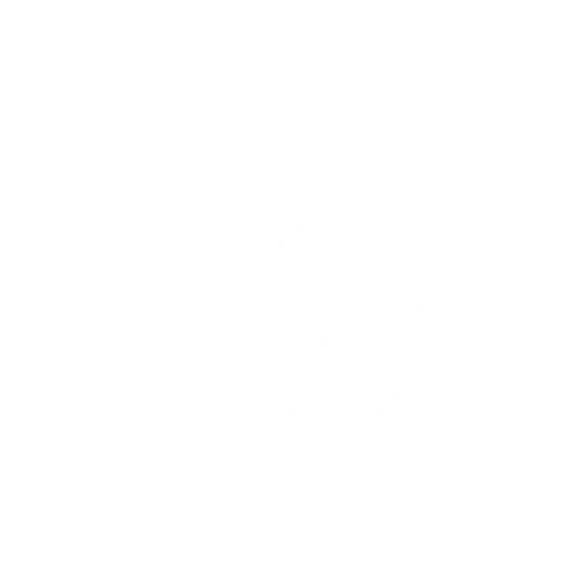 roof icon white
